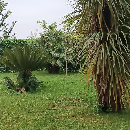 Villa Marano Caianello Vecchio Eksteriør billede